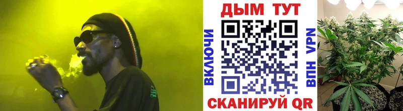Бошки Шишки ГИДРОПОН магазин Холм